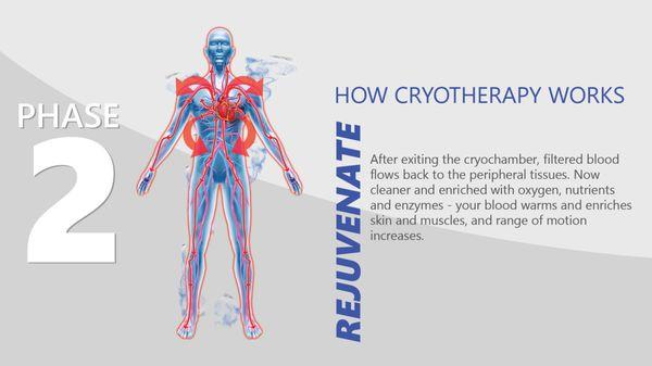 Phase 2- How Cryotherapy Works