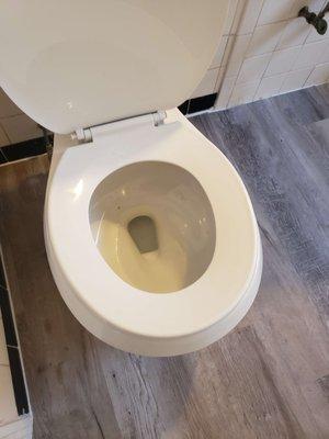 Urine in toilet during showing