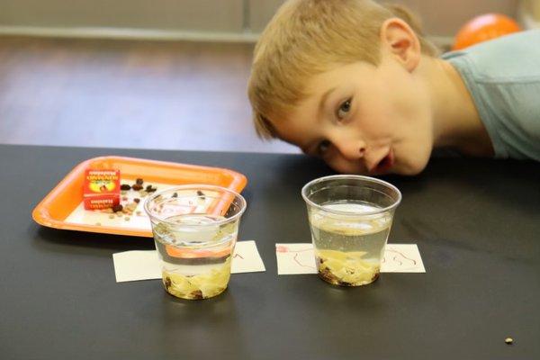 Science is awesome! Lava Lamps...