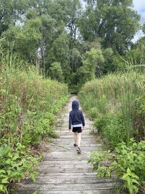 Boardwalk