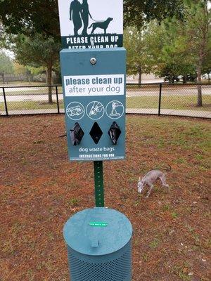 Pleased to see bags available & people have cleaned up after the dogs. (No waste seen during visit)