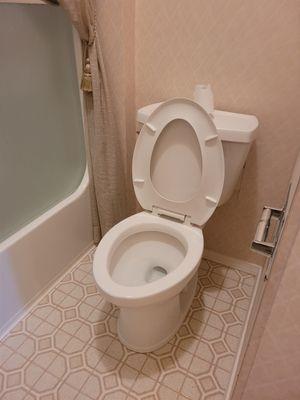 Cleaned toilets and floors