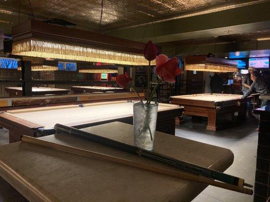 Pool Table, Pool Stick, Tulip