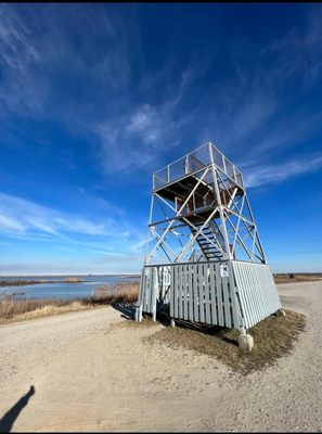 Edwin B. Forsythe National Wildlife Refuge