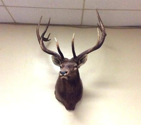 Elks Lodge.  Overseeing the action.