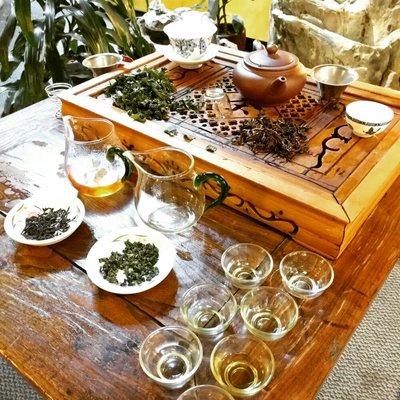 Oolong tea tasting