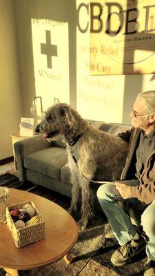 One of our many 4 legged customers comes for a visit . Meet Conall, a very handsome Irish Wolfhound.