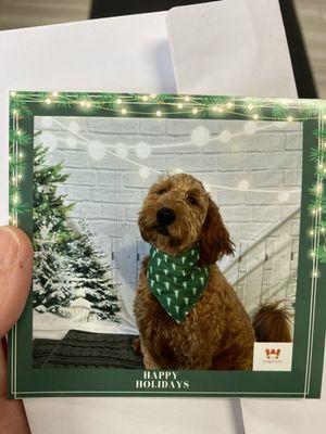 Murphy's wagmore holiday picture.