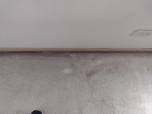 Dust on the carpet 1-2 feet from baseboard. They missed this too, like most of the dust.