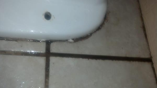 Gross sludge on both sides of toilet