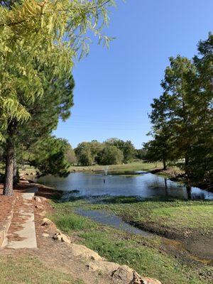 Debra Saunier pond.