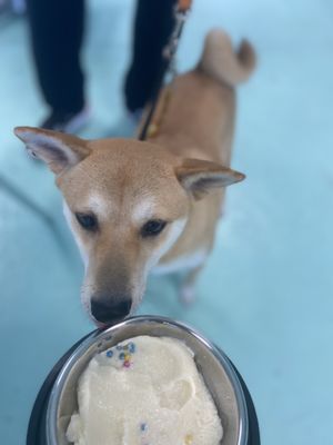 Birthday cake flavor ice cream