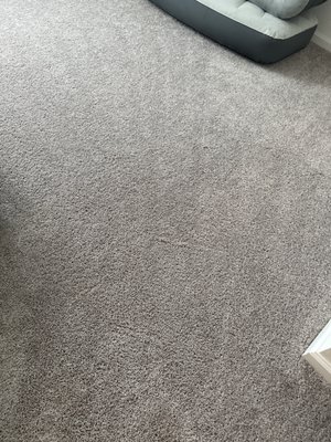 Carpet