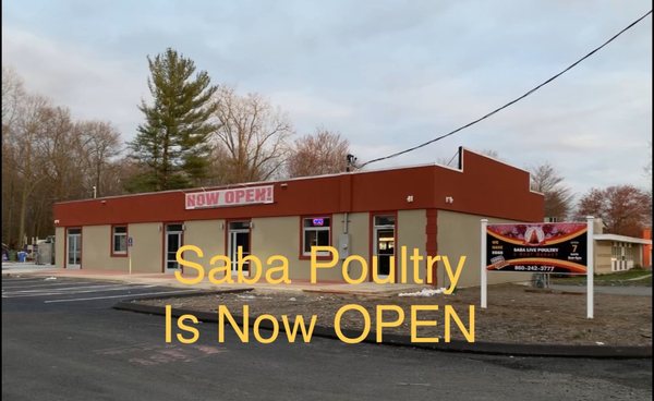 Saba Live Poultry