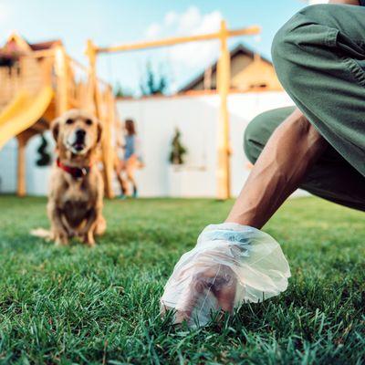 Pet Butler