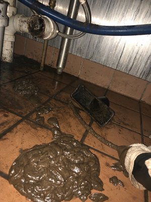 grease in restaurant drains