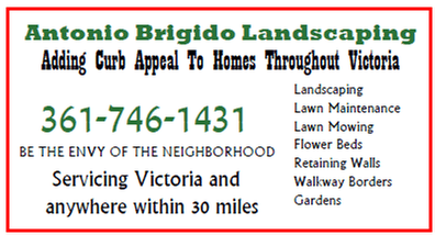 Antonio Brigido Landscaping