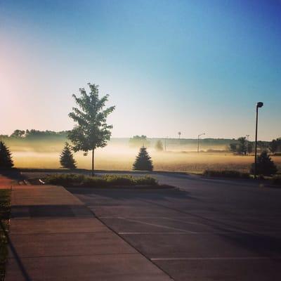 Morning fog in the Davies parking lot.