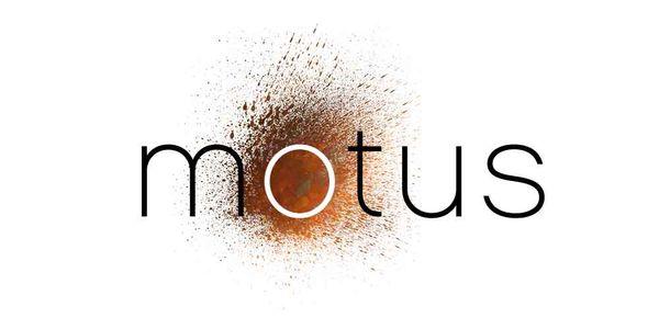 Motus Business Guidance