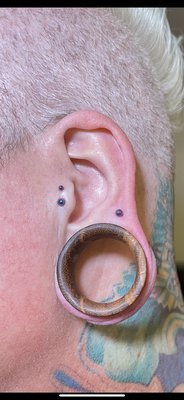 Double Tragus Upper lobe piercing