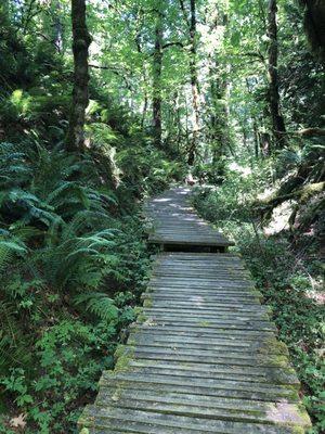 Audubon Society of Portland