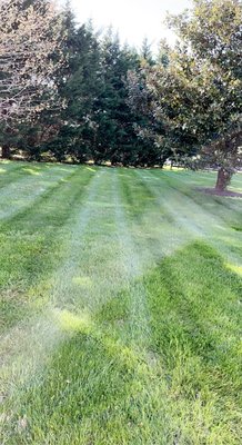 With the proper maintenance on your lawn, we can create strips as bright as these!