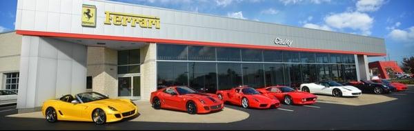 Ferraris parked outside dealership