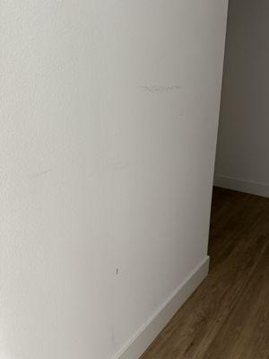 Wall damage