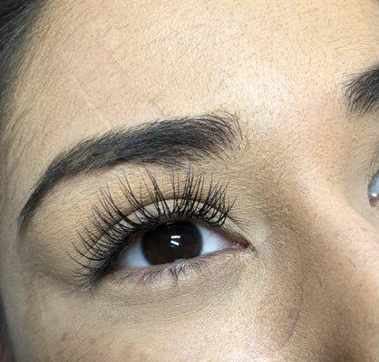 Classic Lashes