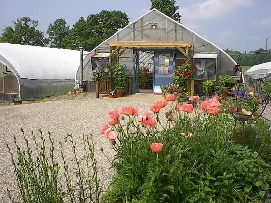 Blue Bell Greenhouse