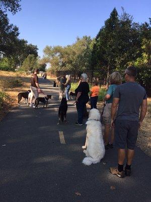 Join our FREE loose leash walking lessons every other Friday at 9:30 am on Sundial bridge