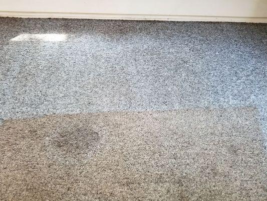 Before and After(top) carpet cleaning