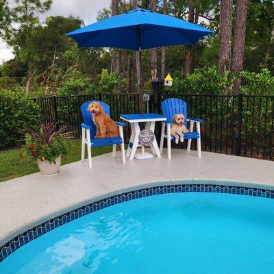 After arriving home from Happy K9 Academy, my pups are shown relaxing by the pool.