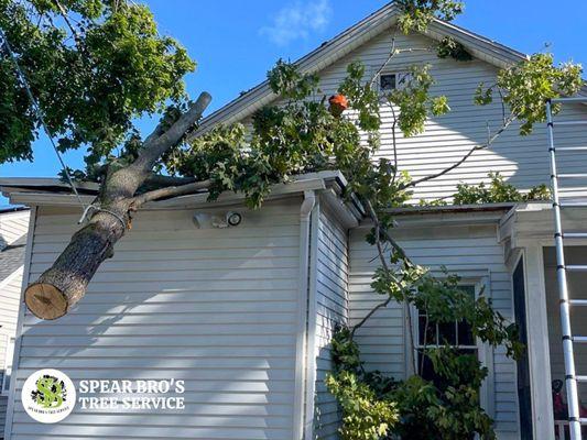 Emergency Tree Services by Spear Bro's Tree Service