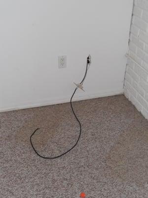 Basement outlet, and can you see the stains in the rug ?