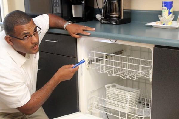 Make sure to run your dishwasher. Pests love what you leave behind.