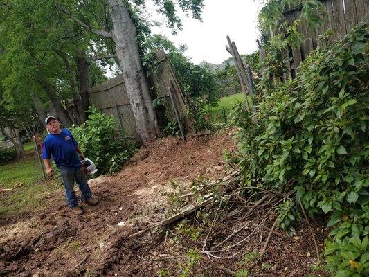 Tree Stump Removal - Completion