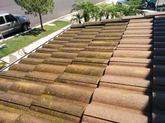 Roof Cleaning Before and After - Pressure Washing Riverside