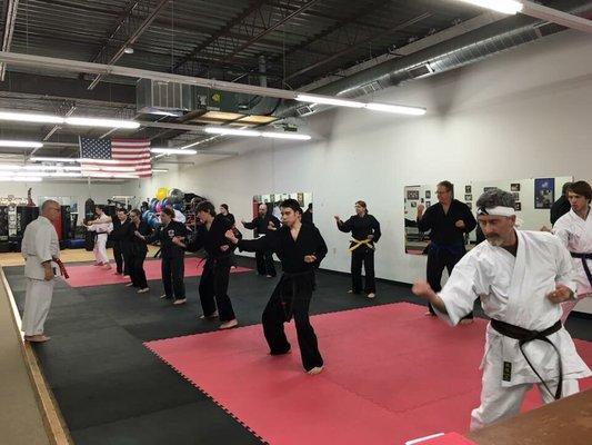 Adult karate! Offering kids & teens too!