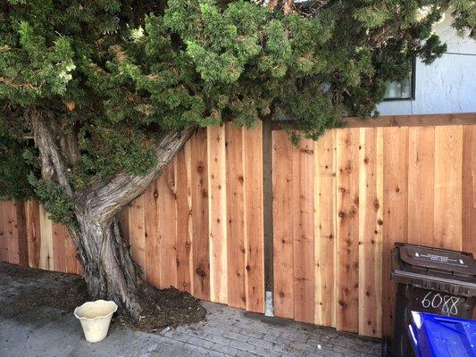 Redwood fencing installation