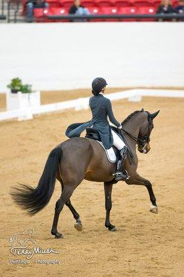 Baywood Equestrian Center