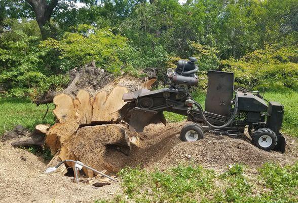 John's Stump Removal