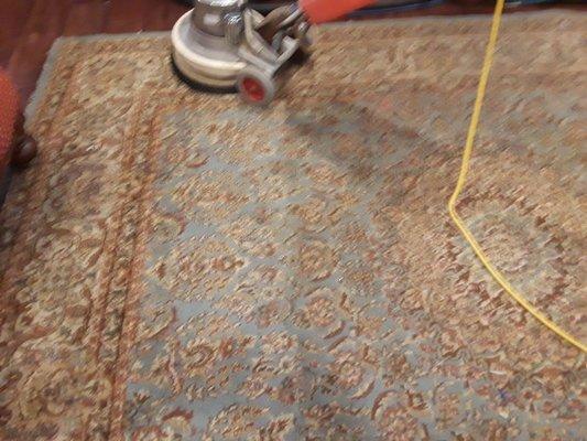 We are experts at cleaning any type of area rug or wall to wall carpet