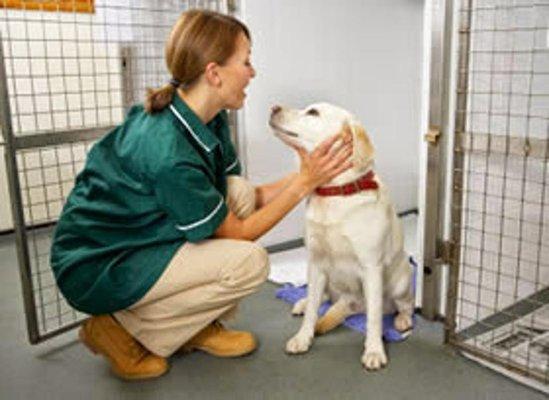 Mahoning Valley Veterinary Centre