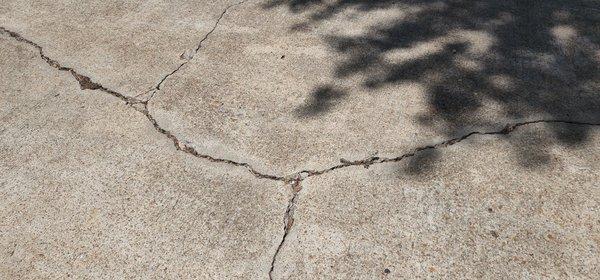 Driveway cracks