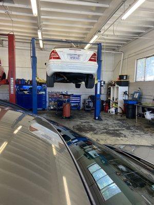 Mv Mb & Bmw Auto Repair