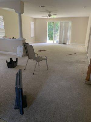 Residential-Move Out-Living/dining-Before