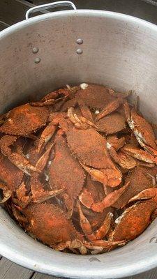 Steamed Blue Crabs