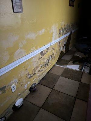 Mold Damage from Hurricane IDA