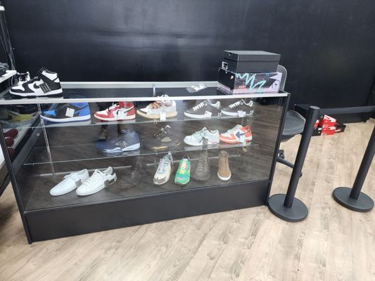 Sneaker case